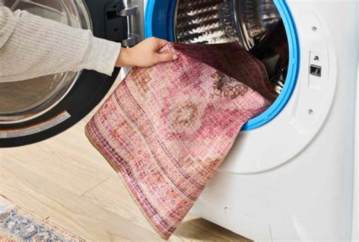 Can you wash rugs with sheets?