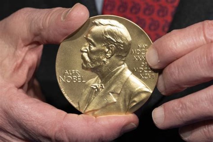 Did Einstein win two Nobel prizes?