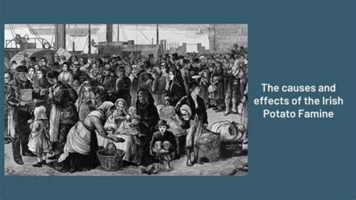 Did the British cause the Irish famine?