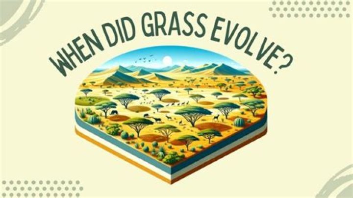 Did the Irish eat grass?