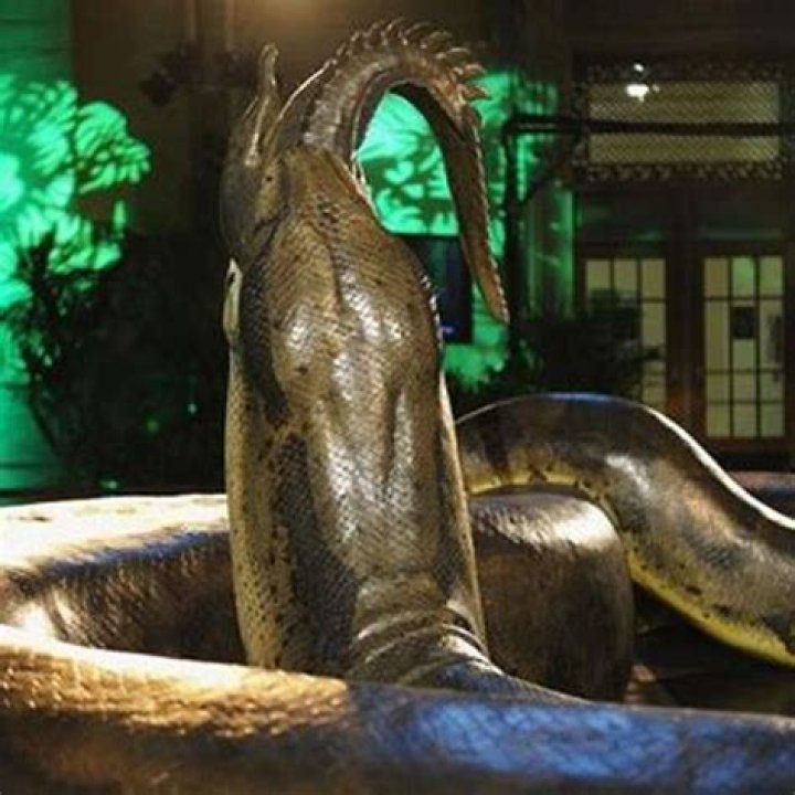 Did Titanoboa have any predators?