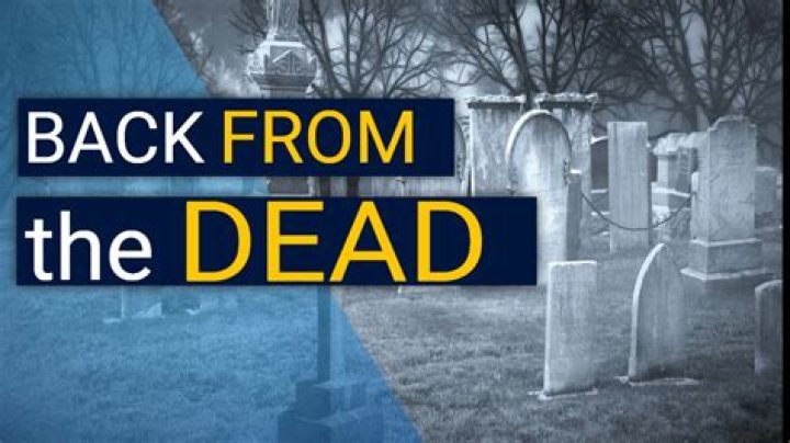 Do ants come back for the dead?