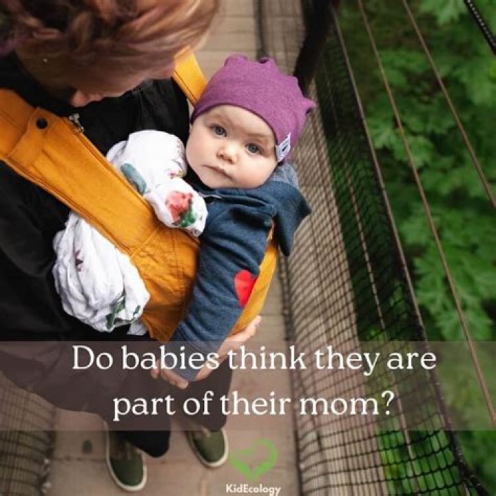 Do babies think they are one with mother?