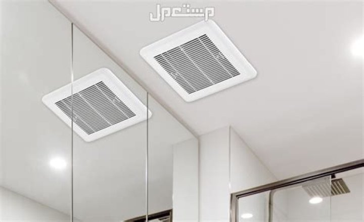 Do bathroom fans prevent mold?