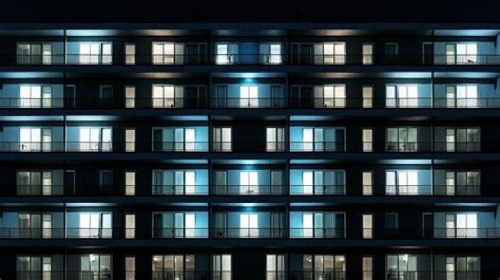 Do bats hit windows at night?