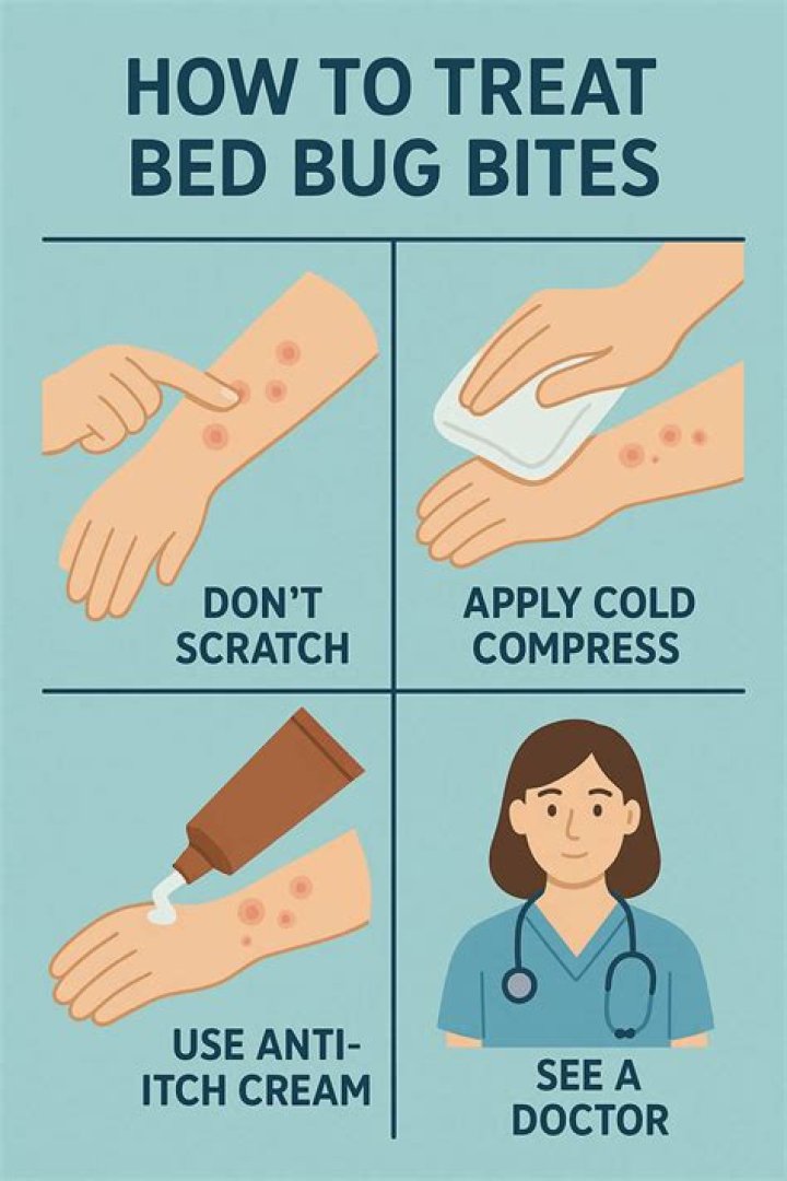 Do bed bug bites go away in a day?