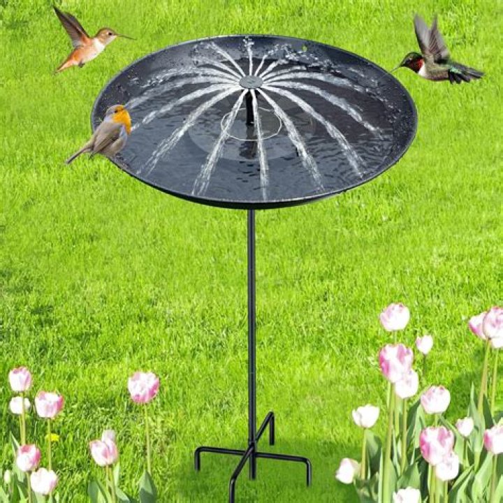 Do bird baths need to be off the ground?