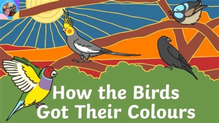 Do birds get embarrassed?