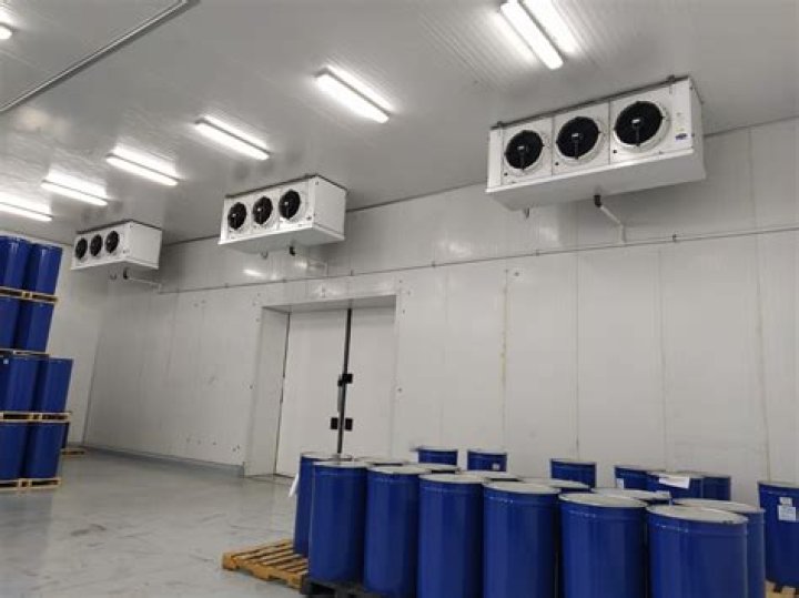 Do bugs like cold rooms?