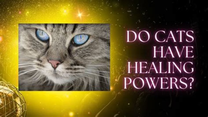 Do cats have healing powers?