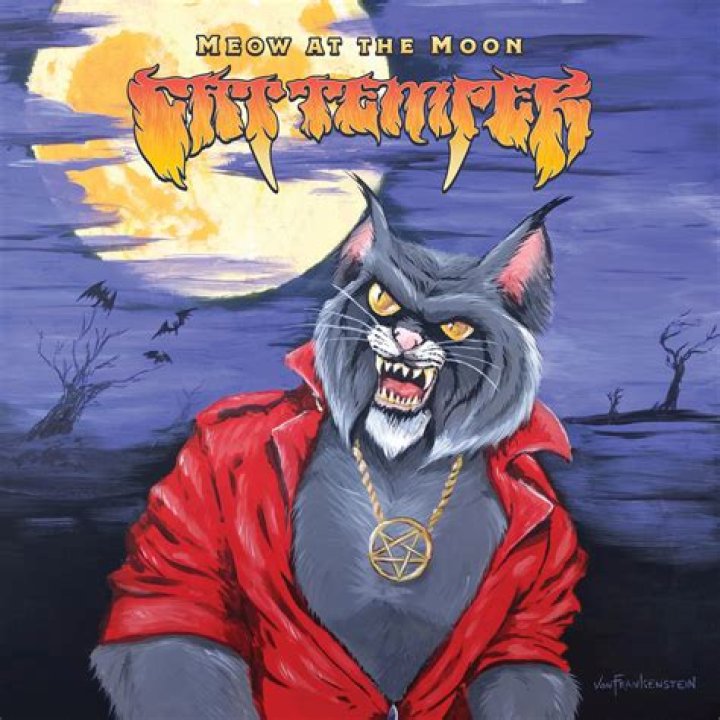 Do cats meow at the moon?