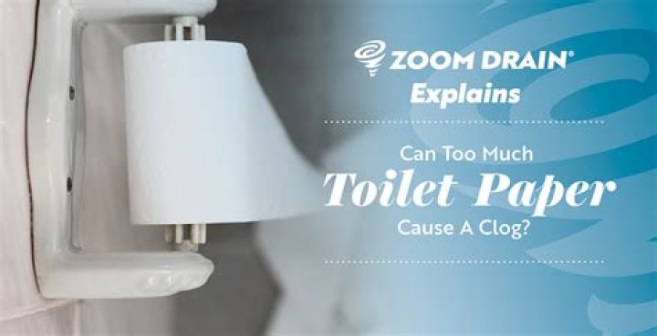 Do Costa Ricans use toilet paper?