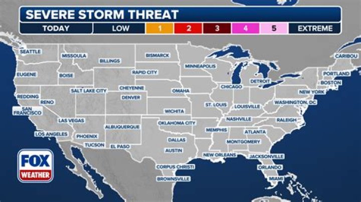 Do deer know a storm is coming?