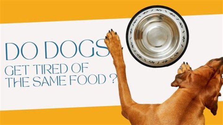 Do dogs get tired of same food?