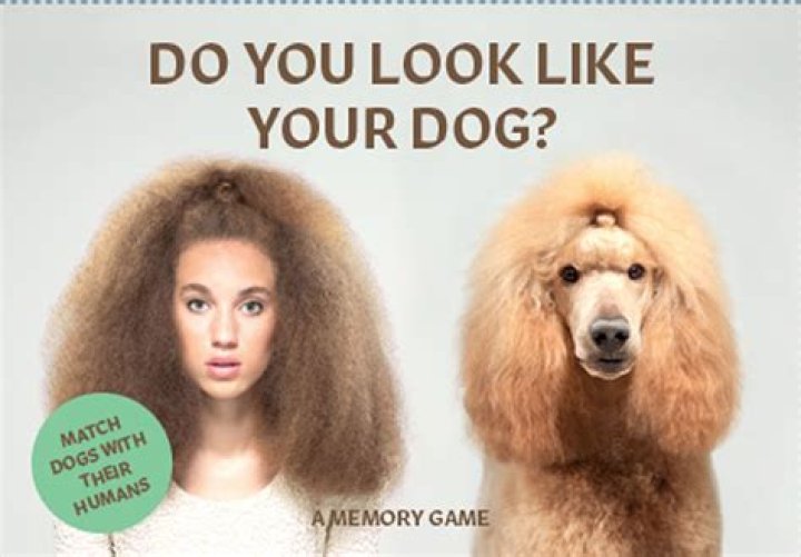 Do dogs have memories like humans?