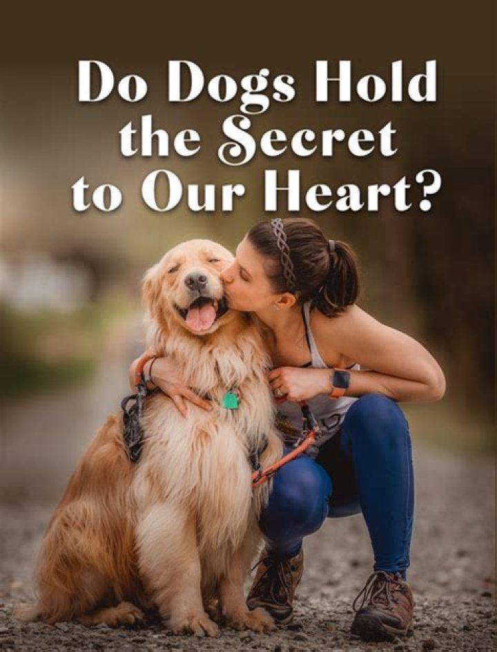 Do dogs hold on for their owners?