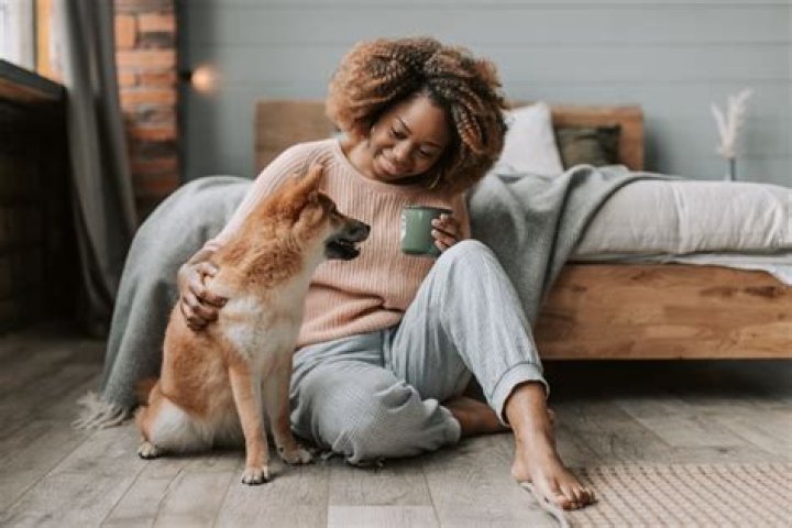 Do dogs know when it's time for bed?