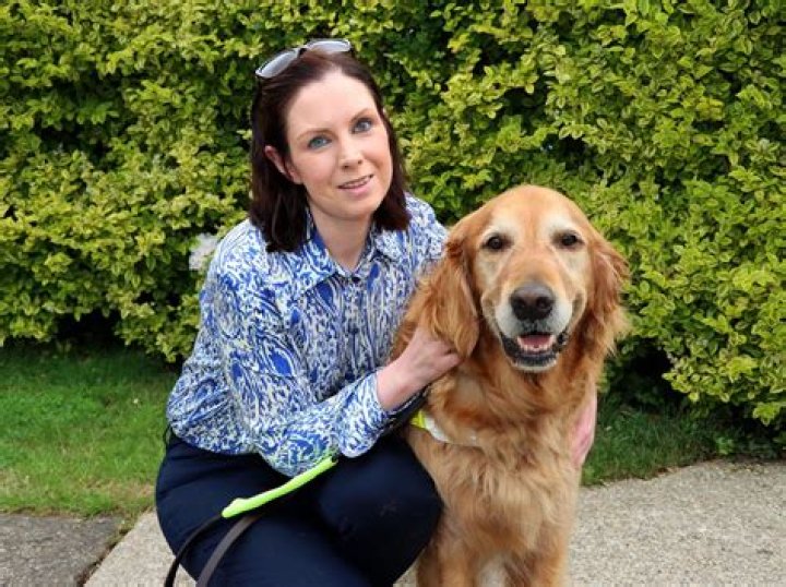 Do guide dogs bark?