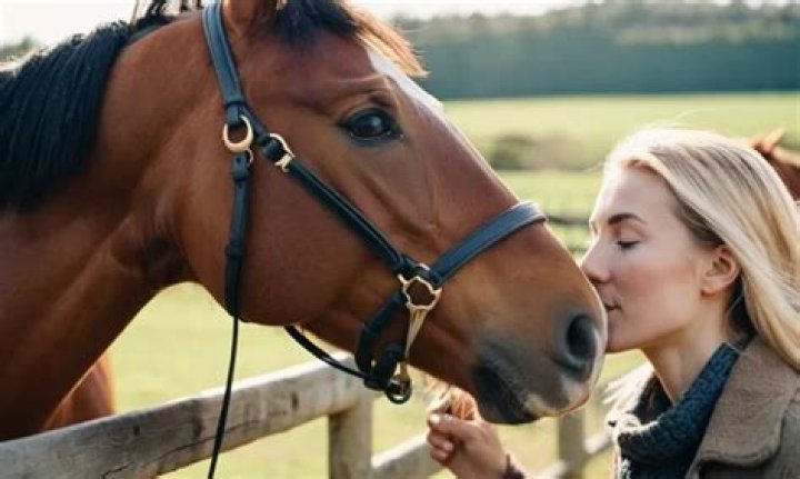 Do horses like being patted on the neck?