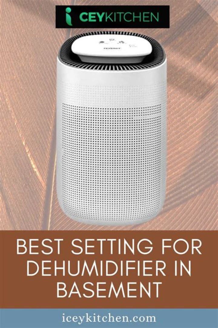 Do I need to run dehumidifier in basement in summer?