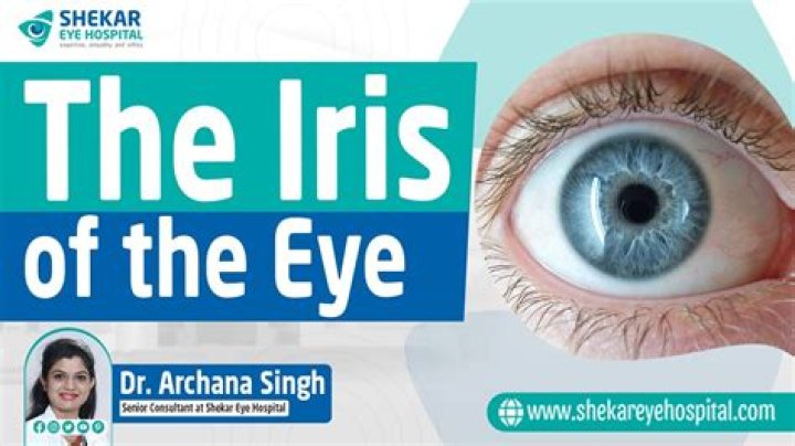 Do Iris like Ash?
