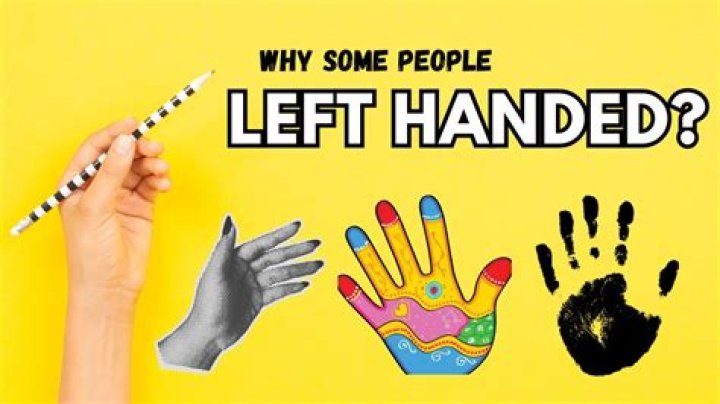 Do left-handed people have bigger brains?