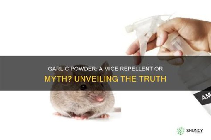 Do mice like garlic?