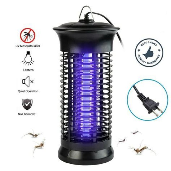 Do mosquitoes glow in UV light?