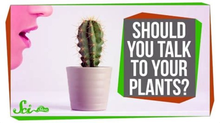 Do plants grow when you talk to them?