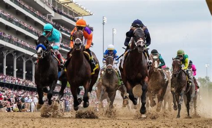 Do race horses know they are racing?