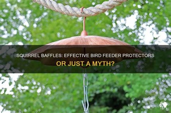 Do squirrel baffles really work?