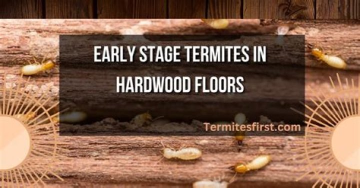 Do termites eat hardwood floors?