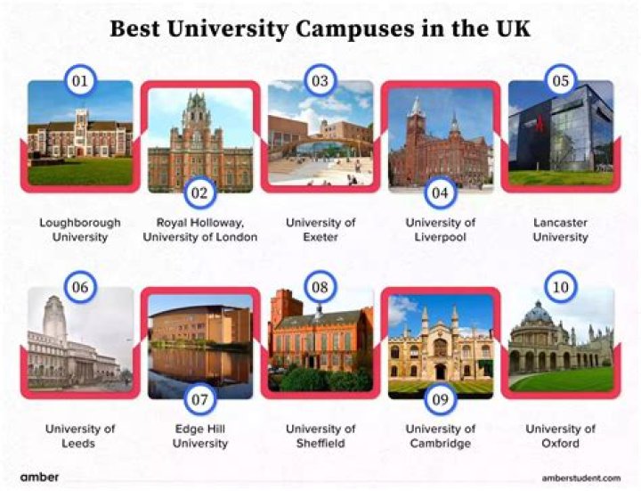 Do universities look at English Literature or language?