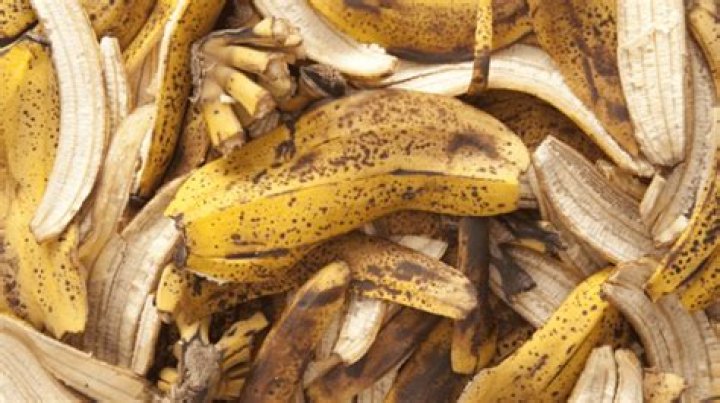 Do worms like banana peels?