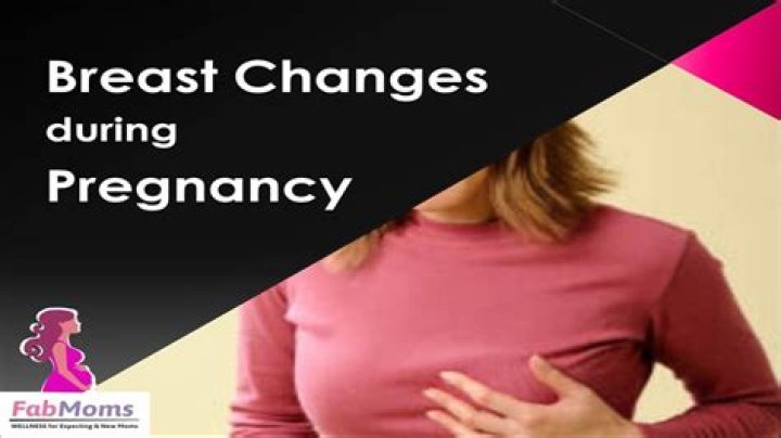 Do you get veins in your breasts when you are pregnant?