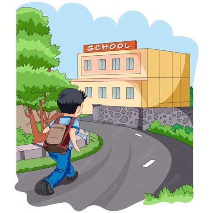 Do you go to school everyday in medical school?