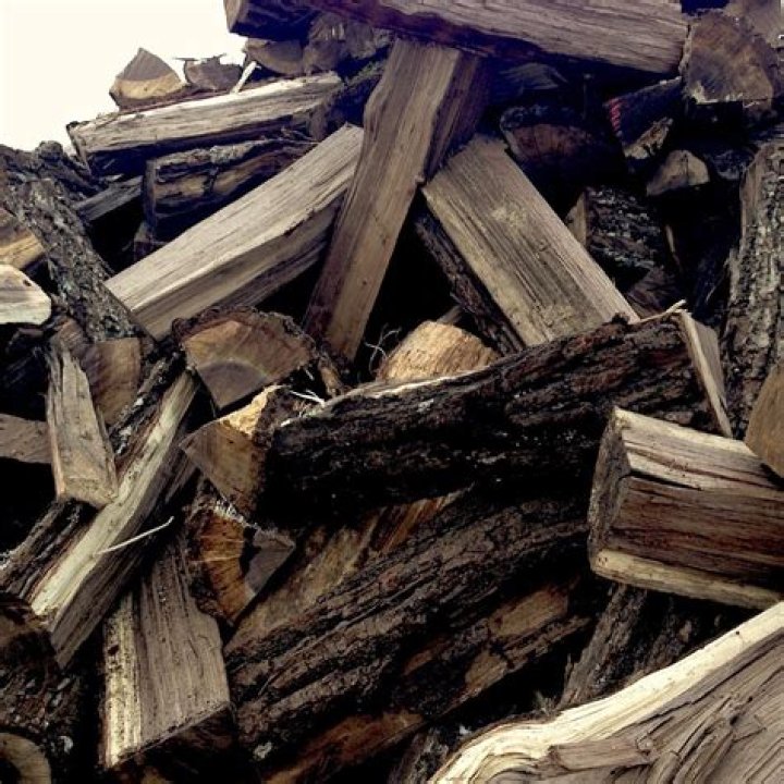 Does a dead tree make good firewood?