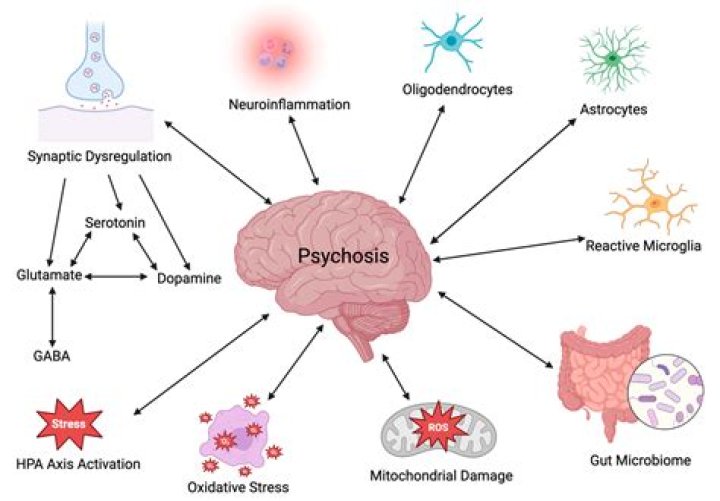 Does a psychotic episode damage the brain?