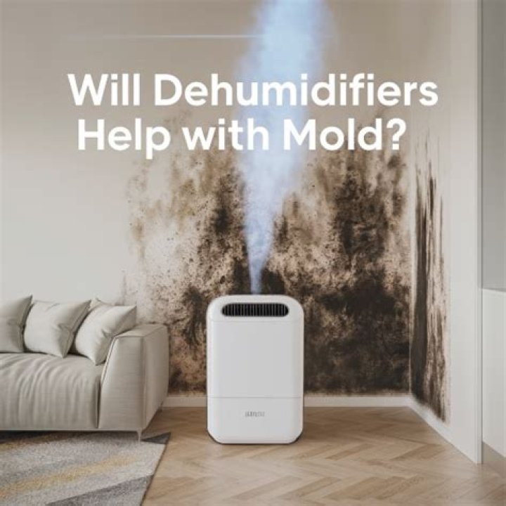 Does airing out a room help with mold?