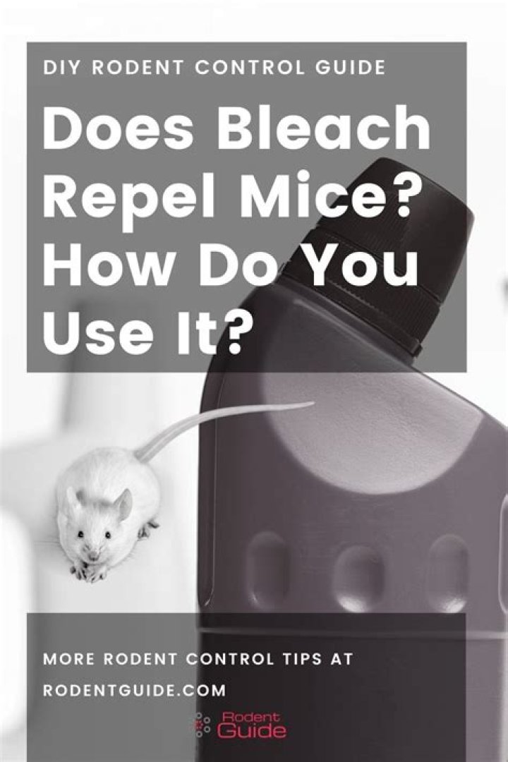 Does bleach keep mice away?