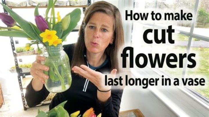 Does bleach make flowers last longer?