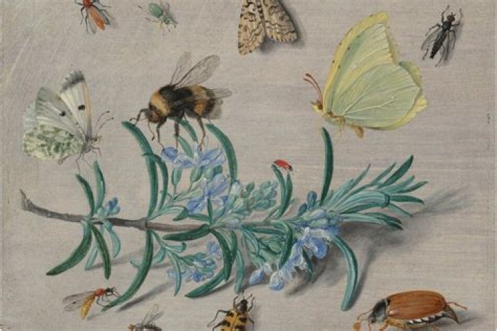 Does blue paint repel insects?