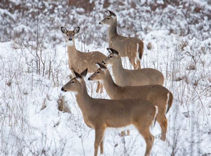 Does Cappadocia have snow?
