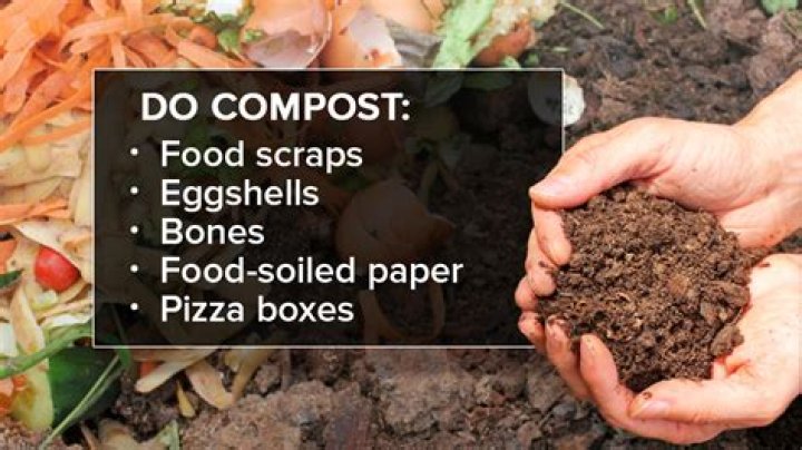 Does compost need full sun?