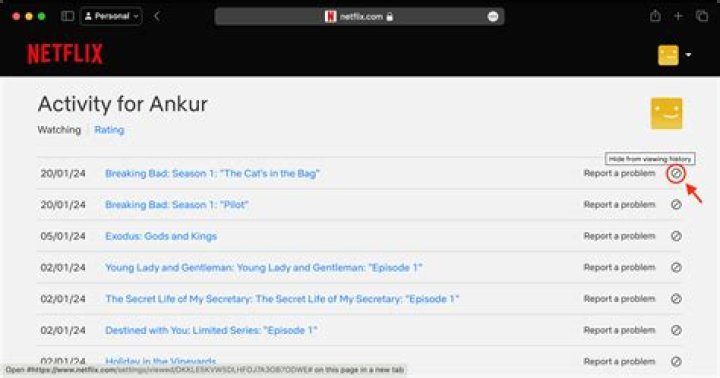 Does deleting Netflix viewing history alert the account owner?