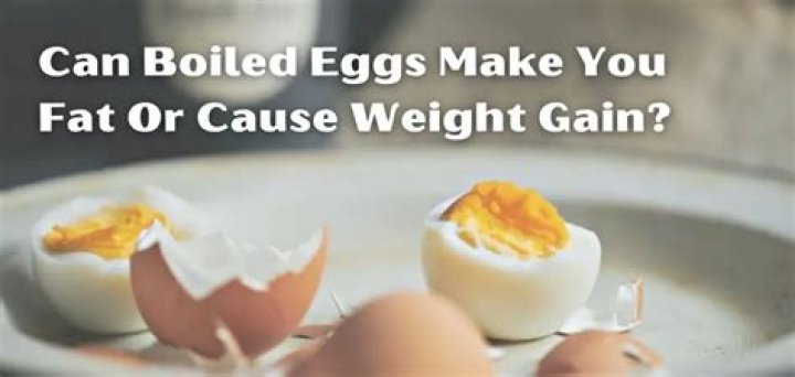 Does egg make you fat?
