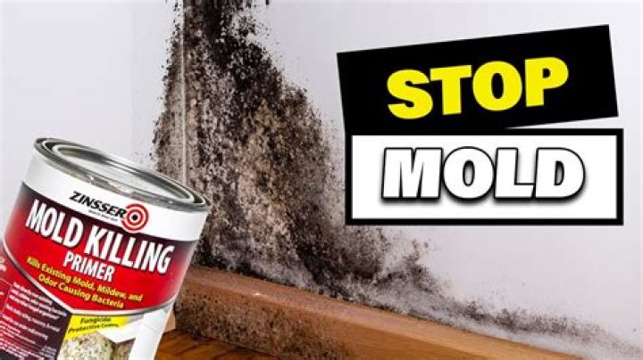 Does eucalyptus oil stop mould?