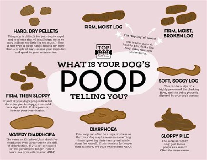 Does everything have poop?
