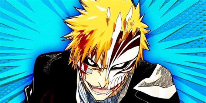 Does Ichigo become head captain?