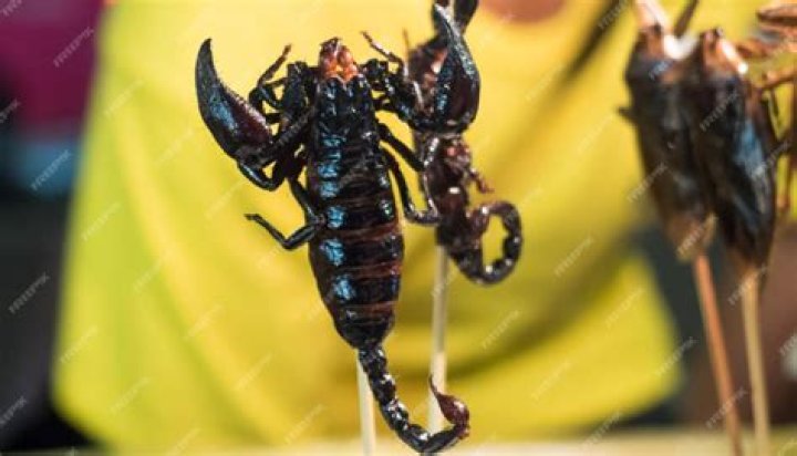Does killing a scorpion attract more?